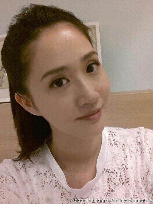 陈晓东娇妻美艳不输张柏芝（图）