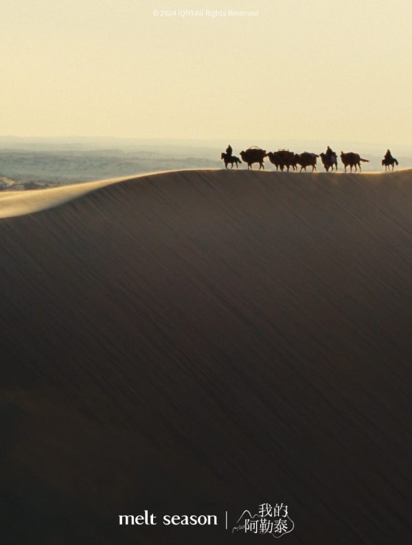 a group of horses walking on a beach
