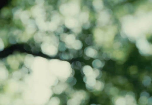 《陷入我们的热恋》你有这样权威的男女主进入内娱拿什么输!