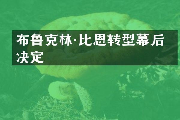 布鲁克林·比恩转型幕后的决定