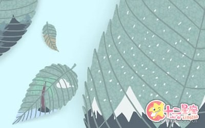 感情线