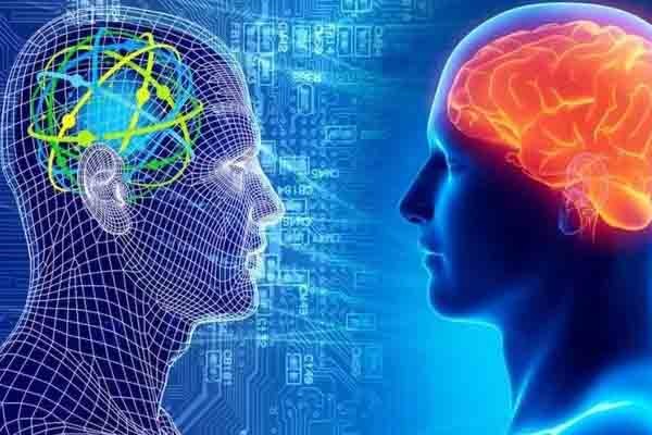 明星的手相秘密图解女,明星的手相秘密图解女生