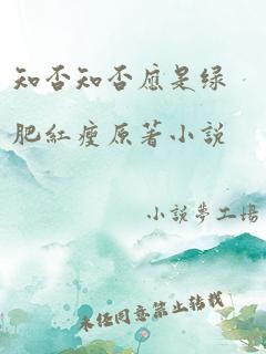 知否知否应是绿肥红瘦原著小说