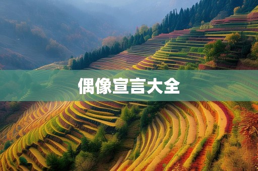 偶像宣言大全