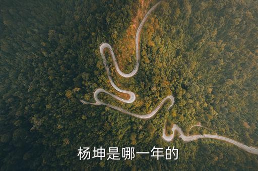 歌手杨坤，杨坤是哪一年的