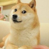 宝宝
