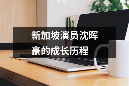 新加坡演员沈晖豪的成长历程