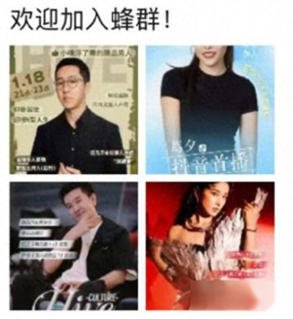 杨子黄圣依葛夕签约留几手公司，麦琳为何没份？真相超扎心