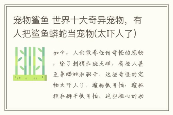 宠物鲨鱼 世界十大奇异宠物，有人把鲨鱼蟒蛇当宠物(太吓人了）