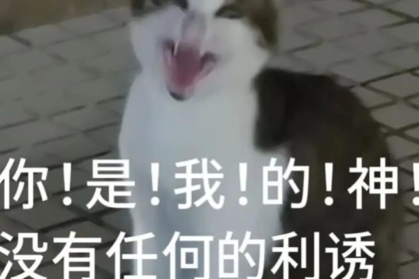 网络配图