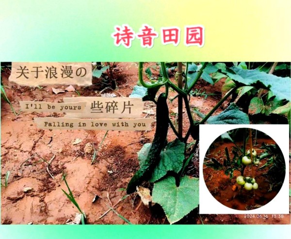 赵露思的公益力量：从日常到国际舞台