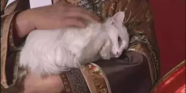 整个娱乐圈都在过母亲节，董璇、何洁、吴绮莉让人看了心疼（2）