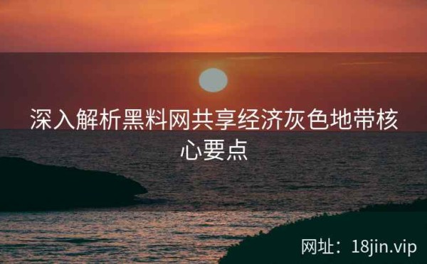 深入解析黑料网共享经济灰色地带核心要点