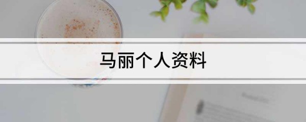 马丽个人资料