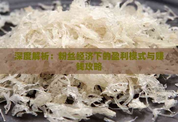 深度解析：粉丝经济下的盈利模式与赚钱攻略