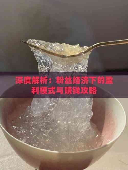 深度解析：粉丝经济下的盈利模式与赚钱攻略