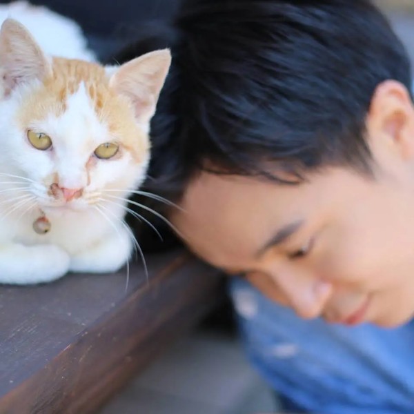吴青峰为他人写的歌（2004