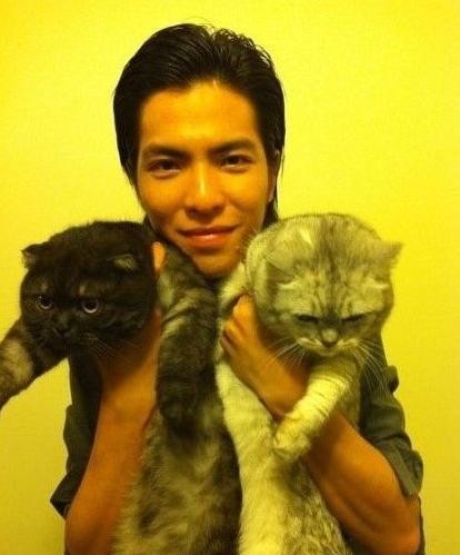 盘点那些爱猫的明星，吴青峰的猫会编曲，而他竟养着9只猫