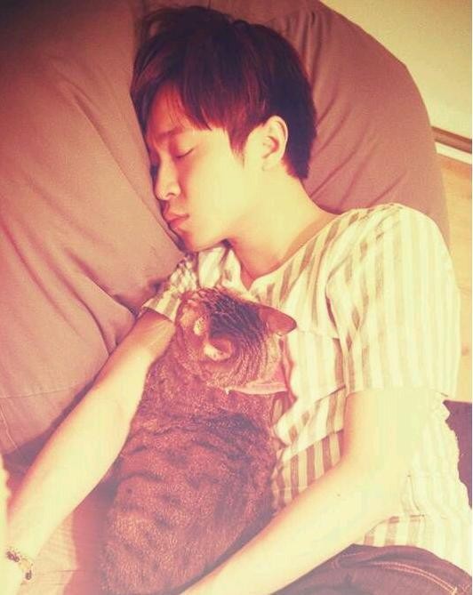 盘点那些爱猫的明星，吴青峰的猫会编曲，而他竟养着9只猫