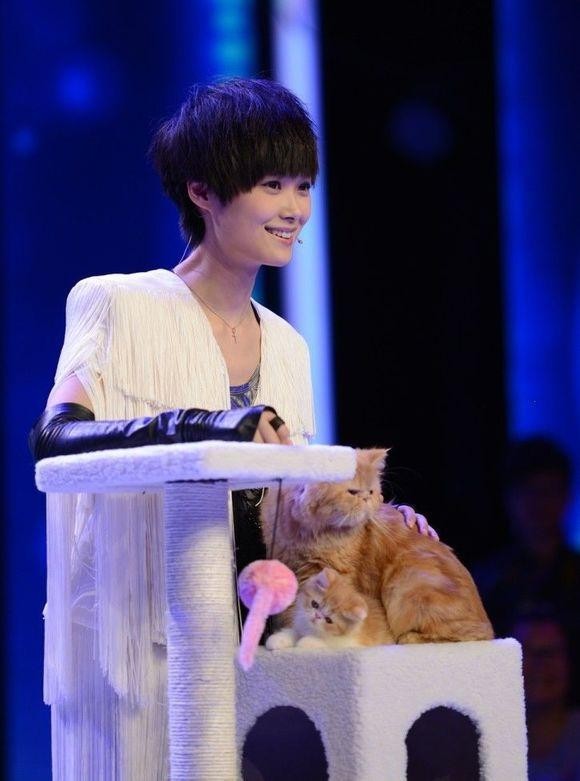 盘点那些爱猫的明星，吴青峰的猫会编曲，而他竟养着9只猫
