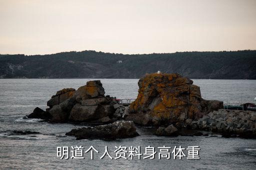明道个人资料身高体重