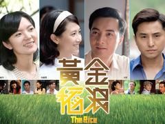 黄金稻浪 王少伟