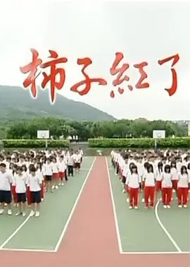 柿子红了