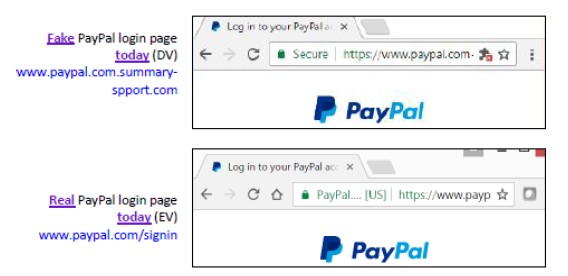 paypal钓鱼网站