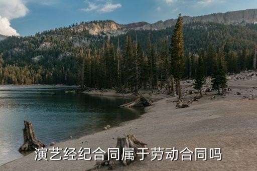 演艺经纪合同属于劳动合同吗