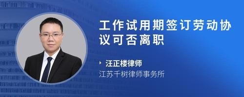 工作试用期签订劳动协议可否离职