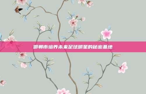 邯郸市培养未来足球明星的秘密基地