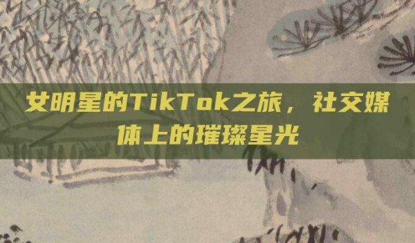 女明星的TikTok之旅,社交媒体上的璀璨星光