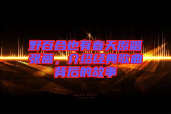 野百合也有春天原唱张蔷，介绍经典歌曲背后的故事