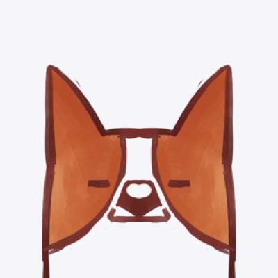 明星挑战方式怎么弄