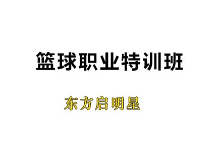广州篮球职业特训班