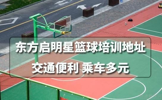 东方启明星篮球