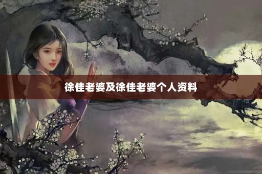 徐佳老婆及徐佳老婆个人资料