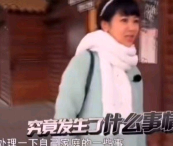 杨紫不红时被活动方打电话骚扰到哭着求放过，小透明太难了