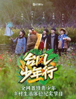 台风少年行