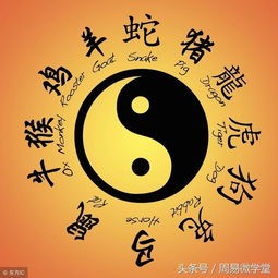 揭秘生肖与星座：掌握你的专属命理秘密！