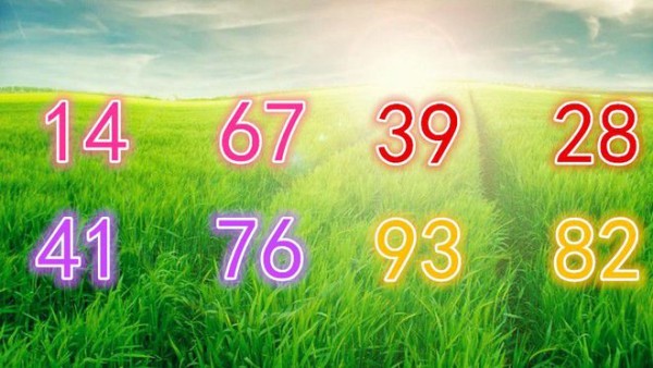 怎么看手机号码磁场_磁场测手机号_手机号磁场看几位数