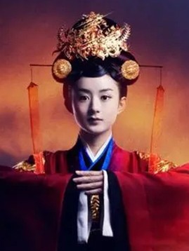陆贞传奇演员表