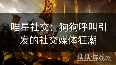 喵星社交：狗狗呼叫引发的社交媒体狂潮