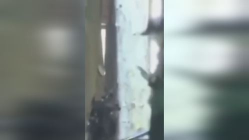 刘亦菲现身美容院路透，戴着大墨镜手提绿色小包 ！