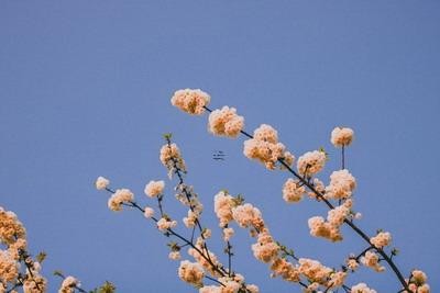 星座配对成功率多少算正常的呢 星座配对真的准么