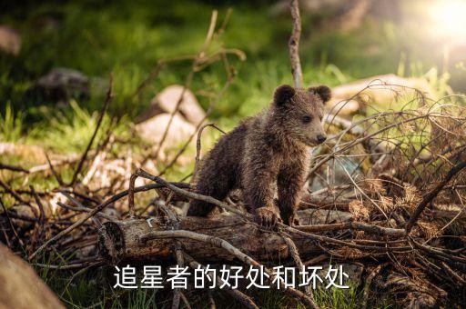 追星者的好处和坏处
