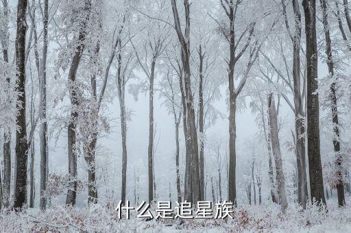 什么是追星族