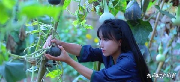 李子柒现象：社交媒体影响力分析