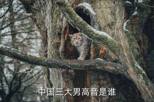 中国三大男高音是谁