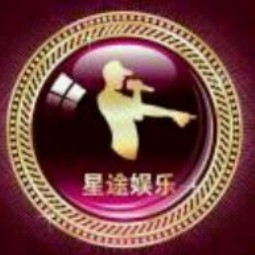 泰安星途文化传媒有限公司logo